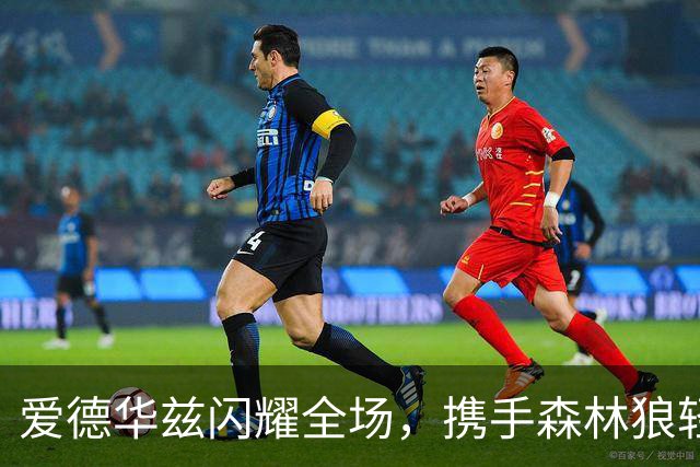 爱德华兹闪耀全场，携手森林狼轻取热火